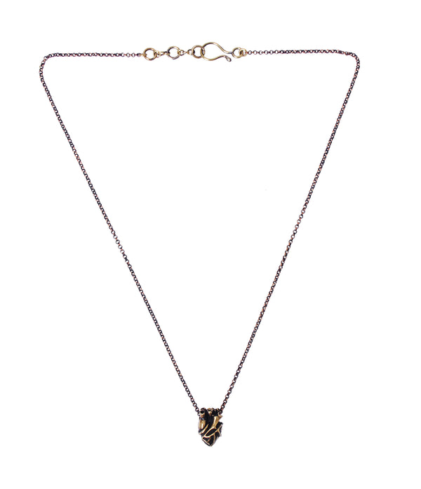 medium anatomical heart